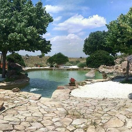 Finca El Cerco A 5M De Puy Du Fou Y 10M A Casco Antiguo De Toledo Villa Argés Esterno foto
