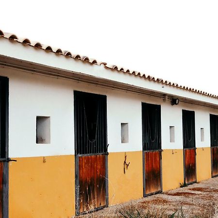 Finca El Cerco A 5M De Puy Du Fou Y 10M A Casco Antiguo De Toledo Villa Argés Esterno foto