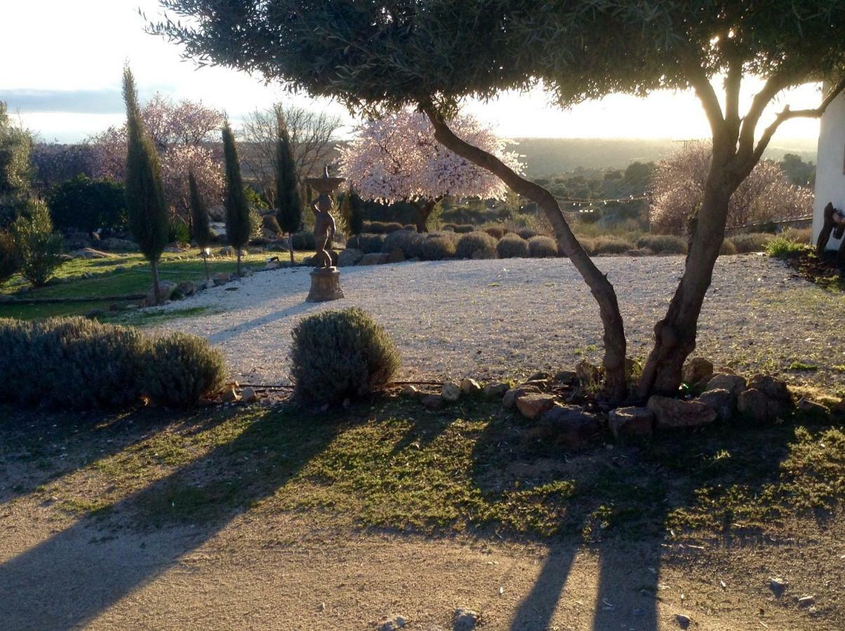 Finca El Cerco A 5M De Puy Du Fou Y 10M A Casco Antiguo De Toledo Villa Argés Esterno foto