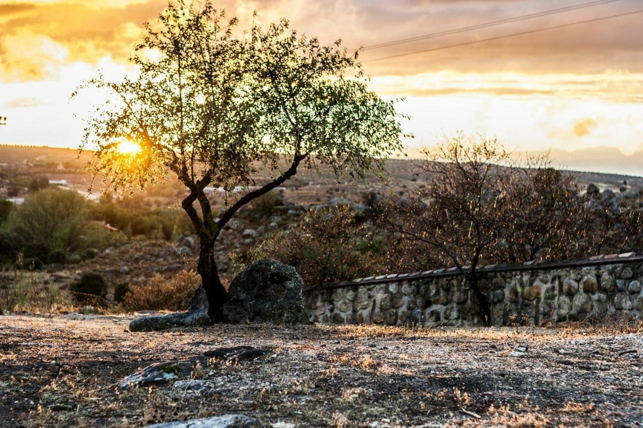 Finca El Cerco A 5M De Puy Du Fou Y 10M A Casco Antiguo De Toledo Villa Argés Esterno foto