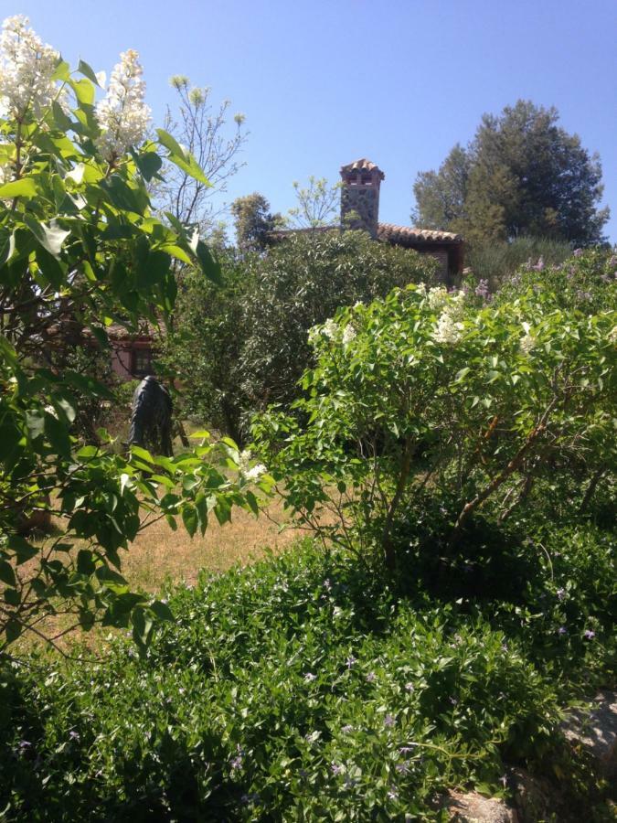 Finca El Cerco A 5M De Puy Du Fou Y 10M A Casco Antiguo De Toledo Villa Argés Esterno foto