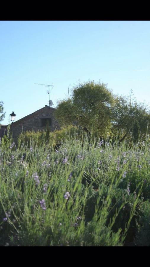 Finca El Cerco A 5M De Puy Du Fou Y 10M A Casco Antiguo De Toledo Villa Argés Esterno foto