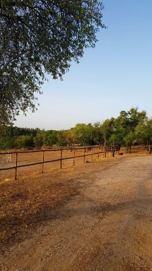 Finca El Cerco A 5M De Puy Du Fou Y 10M A Casco Antiguo De Toledo Villa Argés Esterno foto