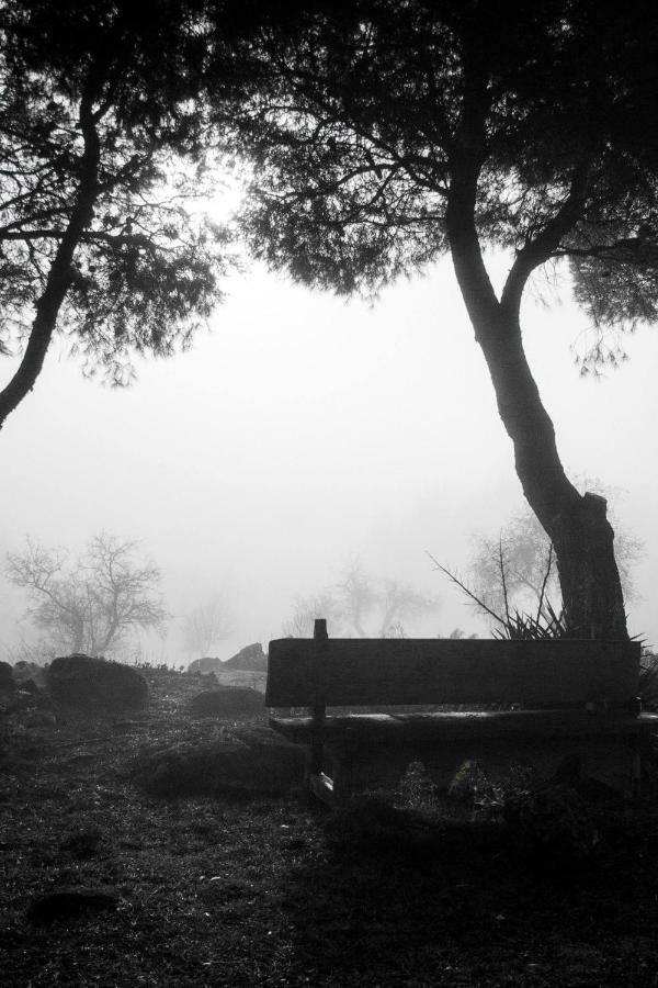 Finca El Cerco A 5M De Puy Du Fou Y 10M A Casco Antiguo De Toledo Villa Argés Esterno foto