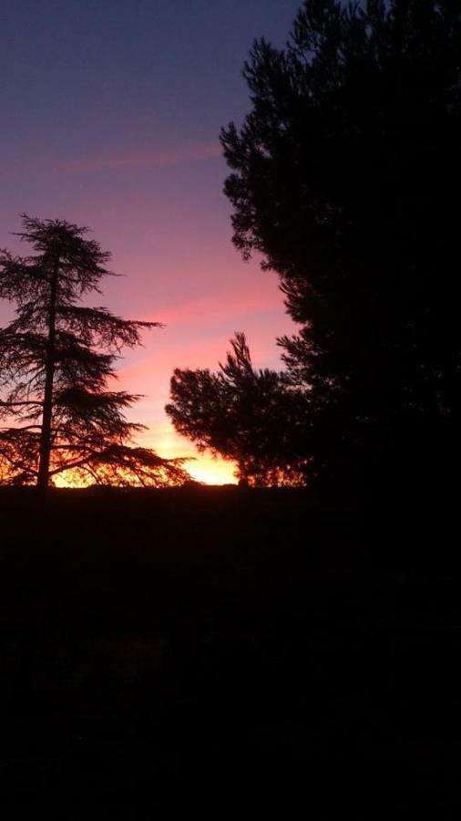 Finca El Cerco A 5M De Puy Du Fou Y 10M A Casco Antiguo De Toledo Villa Argés Esterno foto