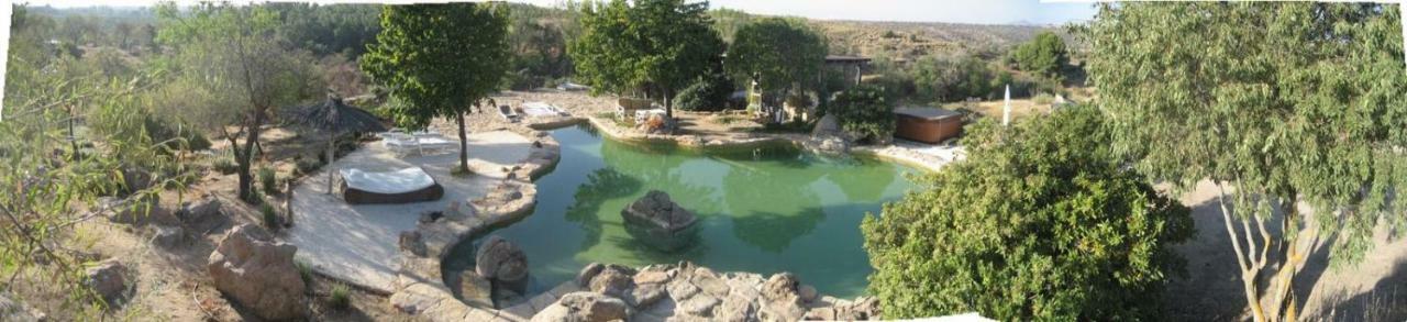 Finca El Cerco A 5M De Puy Du Fou Y 10M A Casco Antiguo De Toledo Villa Argés Esterno foto