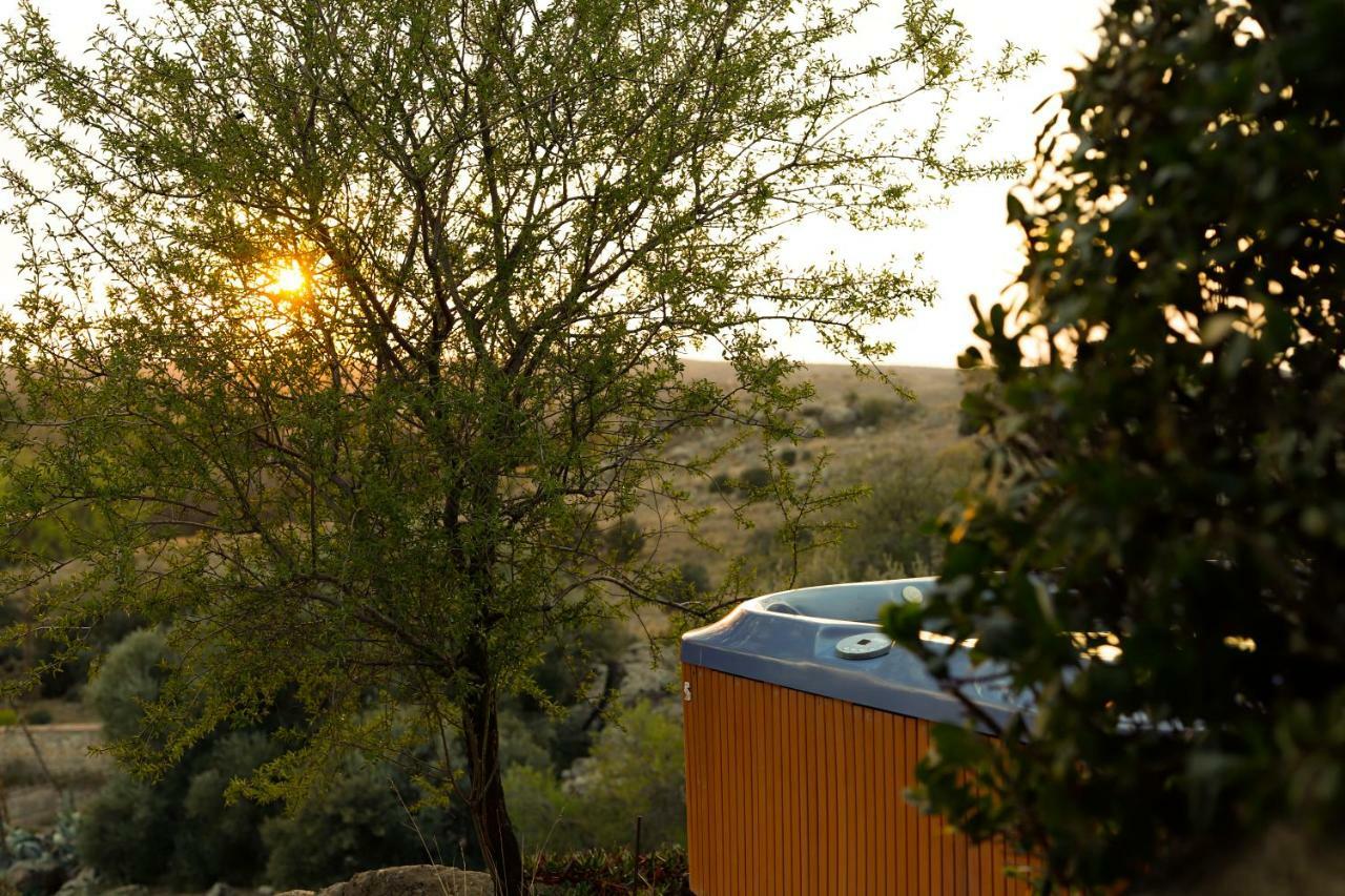 Finca El Cerco A 5M De Puy Du Fou Y 10M A Casco Antiguo De Toledo Villa Argés Esterno foto