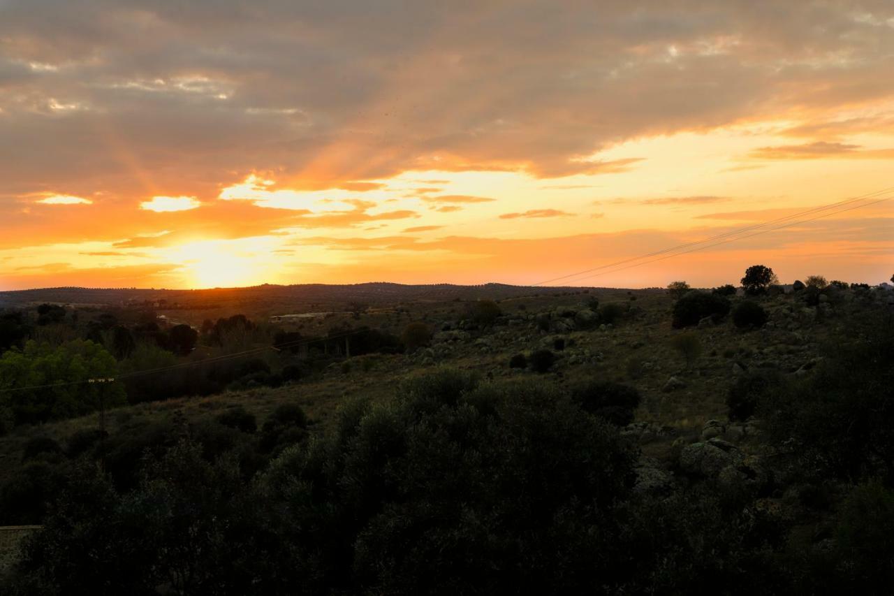Finca El Cerco A 5M De Puy Du Fou Y 10M A Casco Antiguo De Toledo Villa Argés Esterno foto